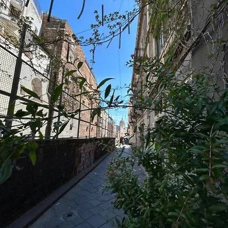 Marilor Catania